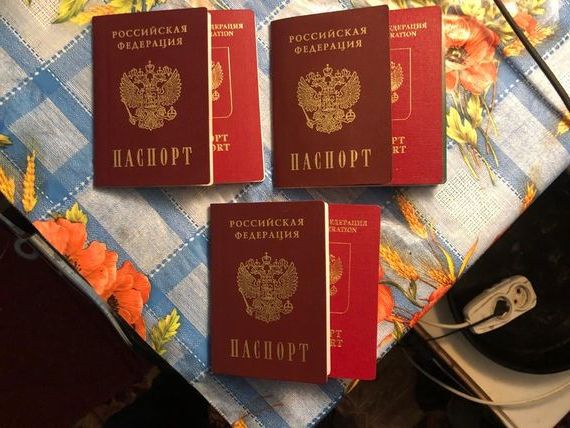 прописка в Боровичах